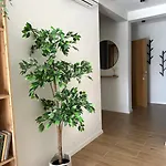 Palada